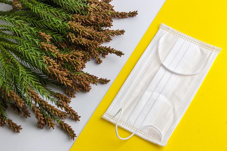 花粉症のイメージ画像